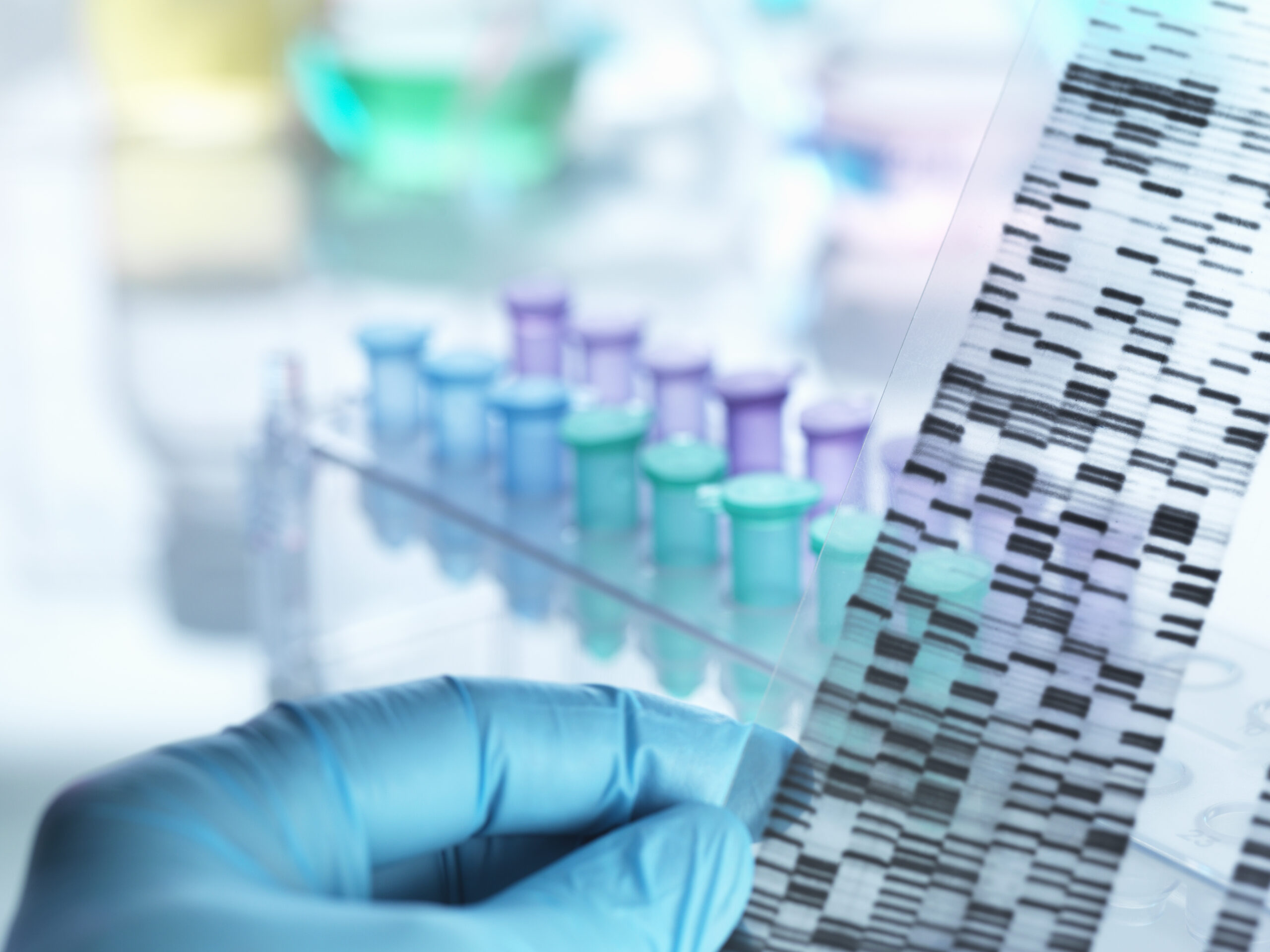 Scientist reviewing laboratory samples