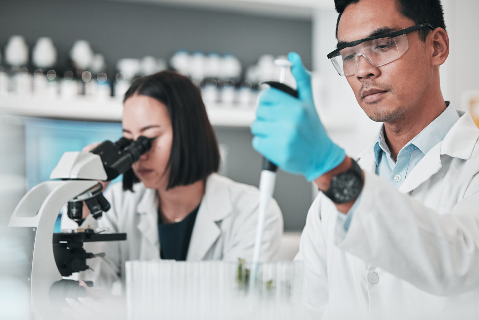 Scientific collaborators working together in a laboratory